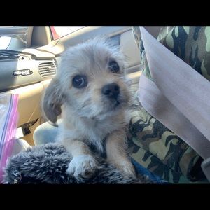 Meet your Posher, Sam